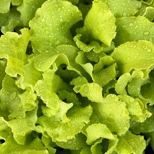 Meet your Posher, Sl